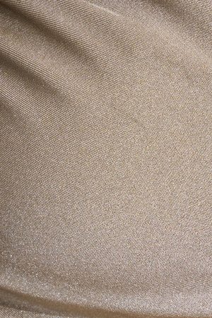 Shiny O-Ring Bikini Bottom