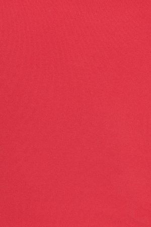 Sleek Scoop Cami Top