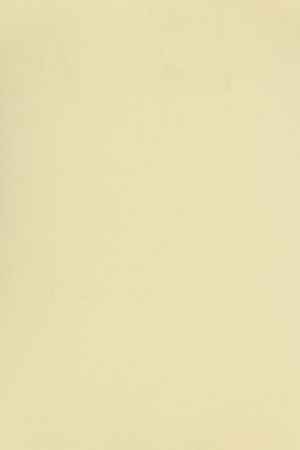 Sleek Sweetheart T Shirt