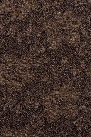 Lace Plunge Bustier Top