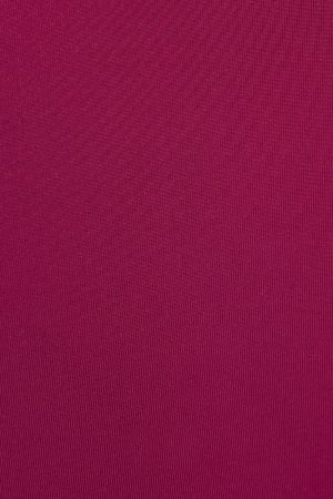 Fixed Triangle Bikini Top