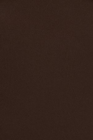 Sleek Plunge Halter Bodysuit