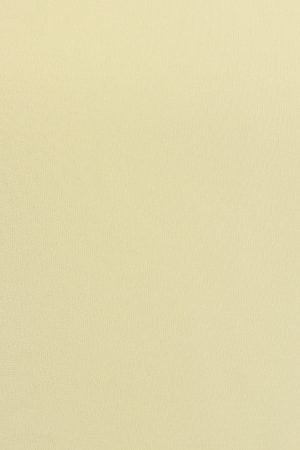 Clean Off Shoulder Top