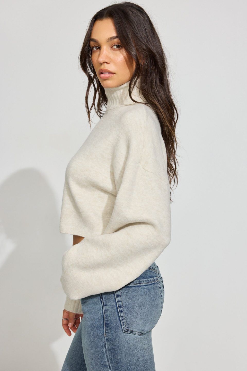 Spongy Cropped Turtleneck